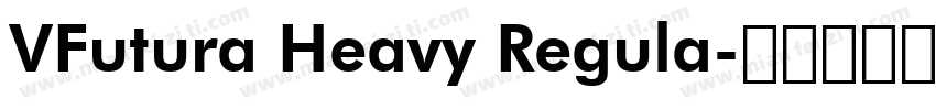 VFutura Heavy Regula字体转换